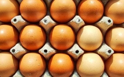 EGG-sactly: The 411 on Egg Allergy