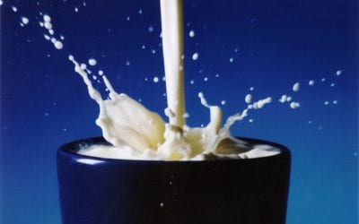 Lactose Intolerance vs. Milk Allergy