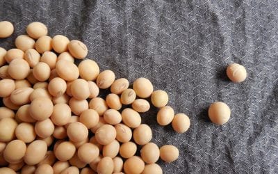 Managing Soy Allergy