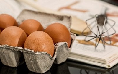 Egg Allergy Doesn’t Have to be a Game Changer