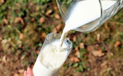 Help for Milk Allergies